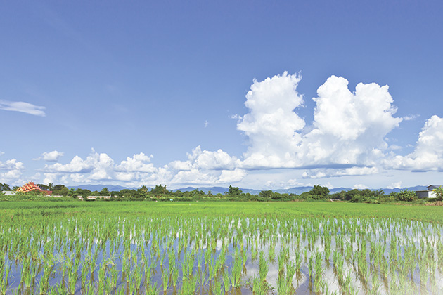 Nông nghiệp và Thủy lợi
