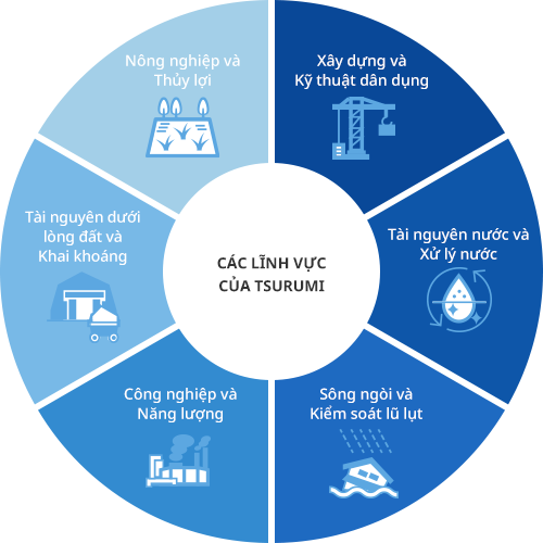 CÁC LĨNH VỰC CỦA TSURUMI