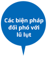 Các biện pháp đối phó với lũ lụt