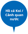 Hồ cá Koi / Cảnh quan nước