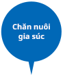 Chăn nuôi gia súc